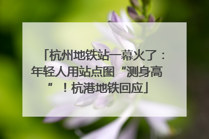 杭州地铁站一幕火了：年轻人用站点图“测身高”！杭港地铁回应
