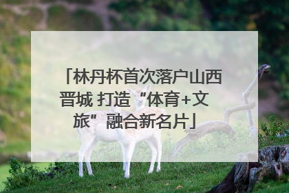 林丹杯首次落户山西晋城 打造“体育+文旅”融合新名片