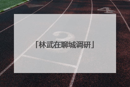 林武在聊城调研