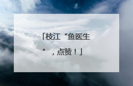 枝江“鱼医生”，点赞！