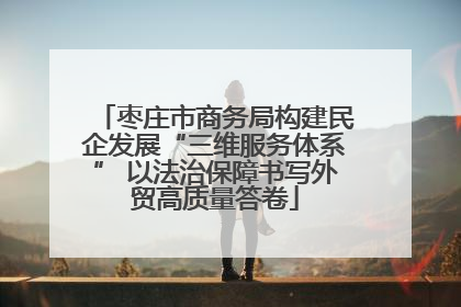 枣庄市商务局构建民企发展“三维服务体系” 以法治保障书写外贸高质量答卷