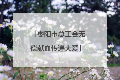 枣阳市总工会无偿献血传递大爱