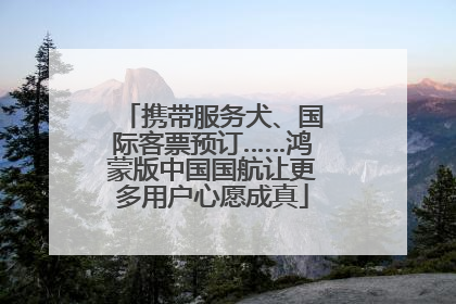 携带服务犬、国际客票预订……鸿蒙版中国国航让更多用户心愿成真