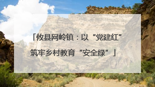 攸县网岭镇：以“党建红”筑牢乡村教育“安全绿”