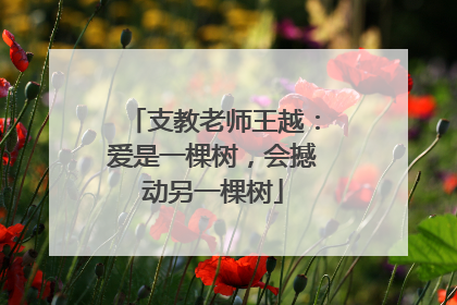 支教老师王越：爱是一棵树，会撼动另一棵树