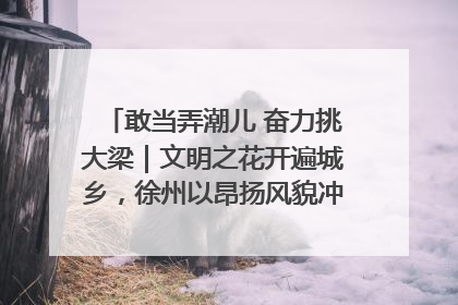 敢当弄潮儿 奋力挑大梁｜文明之花开遍城乡，徐州以昂扬风貌冲刺“万亿之城”