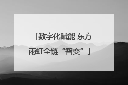 数字化赋能 东方雨虹全链“智变”
