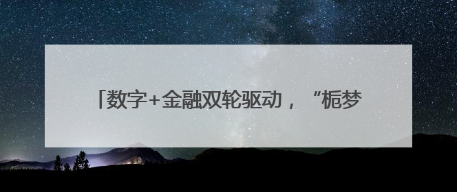 数字+金融双轮驱动，“栀梦行动”“浙”样赋能乡村振兴