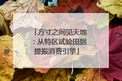 方寸之间见天地：从特区试验田到提振消费引擎