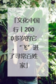 文化中国行丨2000多岁的它，“飞”进了寻常百姓家