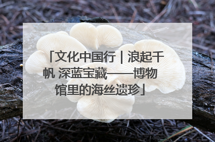 文化中国行｜浪起千帆 深蓝宝藏——博物馆里的海丝遗珍