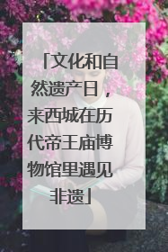 文化和自然遗产日，来西城在历代帝王庙博物馆里遇见非遗