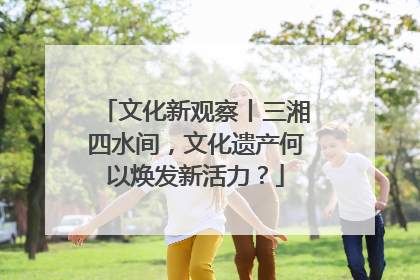 文化新观察丨三湘四水间，文化遗产何以焕发新活力？