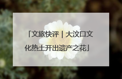 文旅快评｜大汶口文化热土开出遗产之花