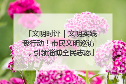 文明时评｜文明实践我行动！市民文明巡访，引领淄博全民志愿