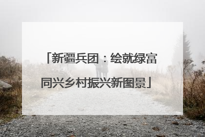 新疆兵团：绘就绿富同兴乡村振兴新图景
