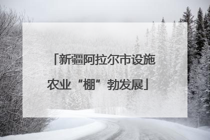 新疆阿拉尔市设施农业“棚”勃发展