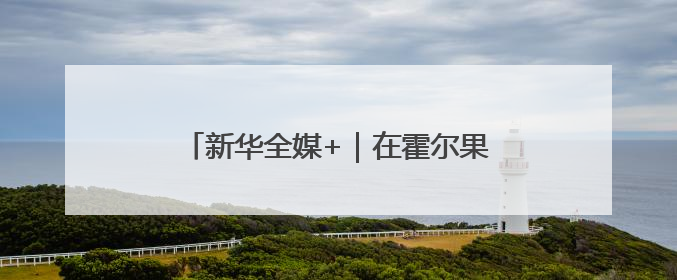 新华全媒+｜在霍尔果斯，这群人让国产新能源汽车“跑”向中亚