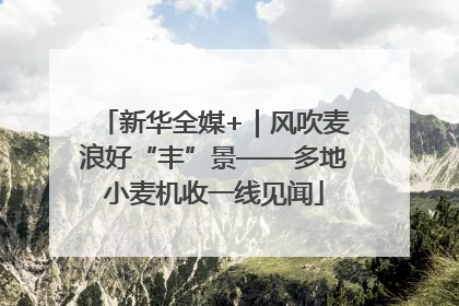 新华全媒+｜风吹麦浪好“丰”景——多地小麦机收一线见闻