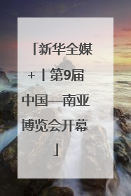 新华全媒+丨第9届中国—南亚博览会开幕