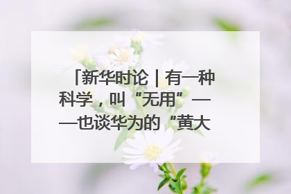 新华时论｜有一种科学，叫“无用”——也谈华为的“黄大年茶思屋”