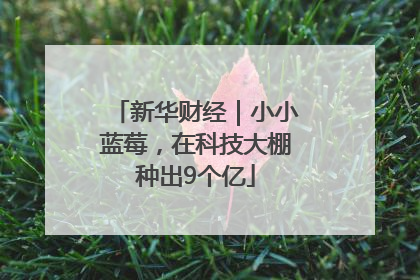 新华财经｜小小蓝莓，在科技大棚种出9个亿