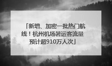 新增、加密一批热门航线！杭州机场暑运客流量预计超910万人次