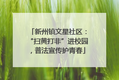 新州镇文星社区：“扫黄打非”进校园，普法宣传护青春