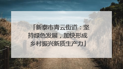 新泰市青云街道：坚持绿色发展，加快形成乡村振兴新质生产力