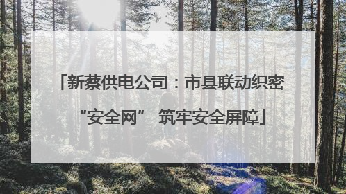 新蔡供电公司：市县联动织密“安全网” 筑牢安全屏障
