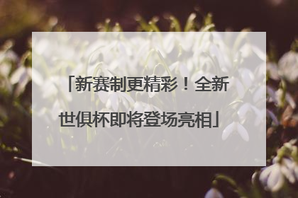 新赛制更精彩！全新世俱杯即将登场亮相