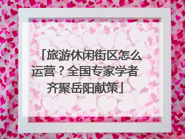 旅游休闲街区怎么运营？全国专家学者齐聚岳阳献策