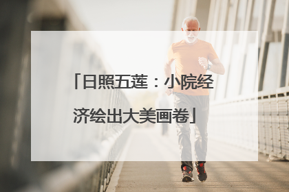 日照五莲：小院经济绘出大美画卷