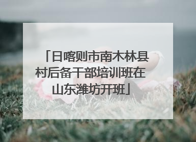 日喀则市南木林县村后备干部培训班在山东潍坊开班