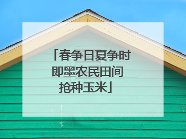春争日夏争时 即墨农民田间抢种玉米