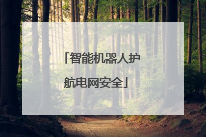 智能机器人护航电网安全