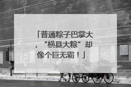 普通粽子巴掌大，“横县大粽”却像个巨无霸！