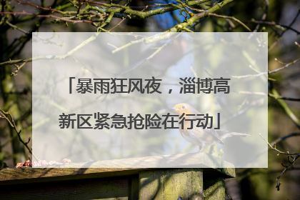 暴雨狂风夜，淄博高新区紧急抢险在行动
