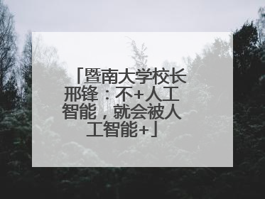 暨南大学校长邢锋：不+人工智能，就会被人工智能+