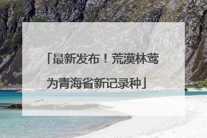 最新发布！荒漠林莺为青海省新记录种