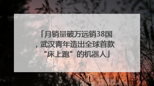 月销量破万远销38国，武汉青年造出全球首款“床上跑”的机器人