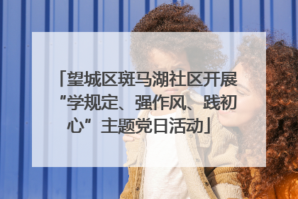 望城区斑马湖社区开展“学规定、强作风、践初心”主题党日活动