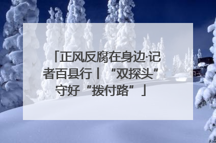 正风反腐在身边·记者百县行丨“双探头”守好“拨付路”