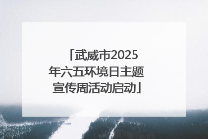 武威市2025年六五环境日主题宣传周活动启动