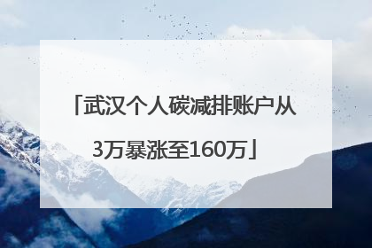 武汉个人碳减排账户从3万暴涨至160万