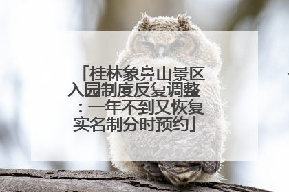 桂林象鼻山景区入园制度反复调整：一年不到又恢复实名制分时预约