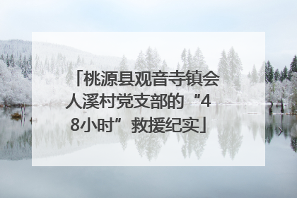 桃源县观音寺镇会人溪村党支部的“48小时”救援纪实