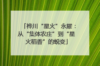 桦川“星火”永耀：从“集体农庄”到“星火稻香”的蜕变