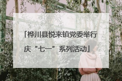桦川县悦来镇党委举行庆“七一”系列活动