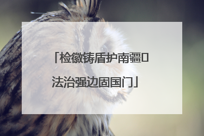 检徽铸盾护南疆 法治强边固国门